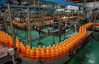 红枣饮料生产线